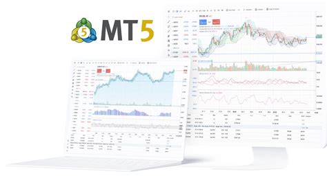 Plataforma Metatrader 5 .